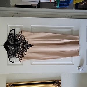 NWT Signature lace-shouldered dress